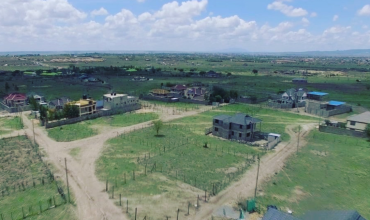 Gimu Plots